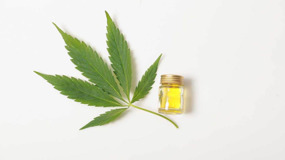 CBD Facts You Want to Know