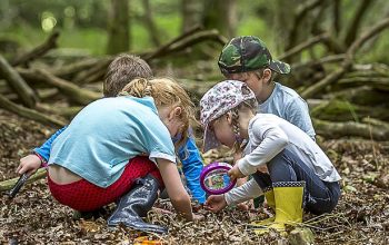 Join Nature Related Activities for Kids