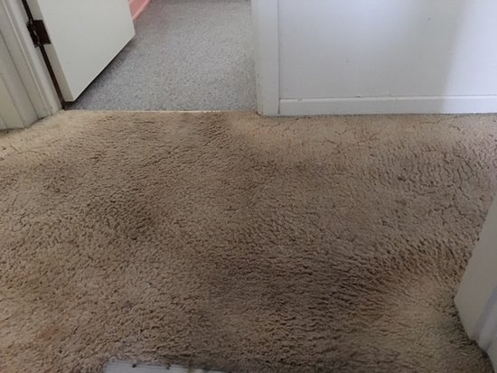 Benefits of carpets for the house