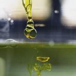 CBD oil: 10 myths and facts