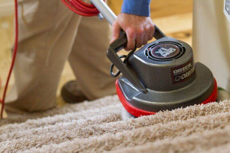 Factors to Consider When Choosing Professional Carpet Cleaning Services